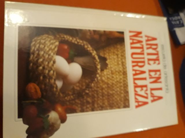 Libros de manualidades