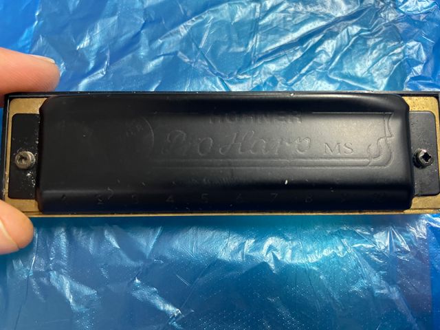 Armónica Hohner Pro Harp MS