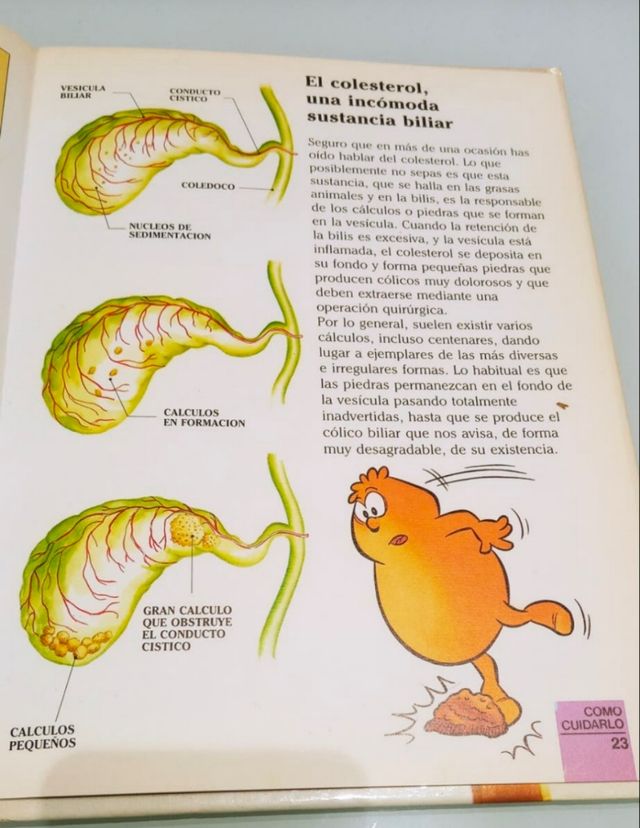 libro érase una vez una vez el cuerpo humano