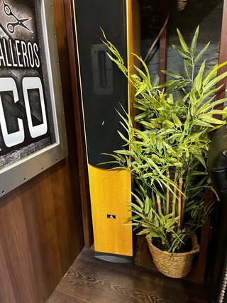 Altavoces Aurum cantus moon river 2