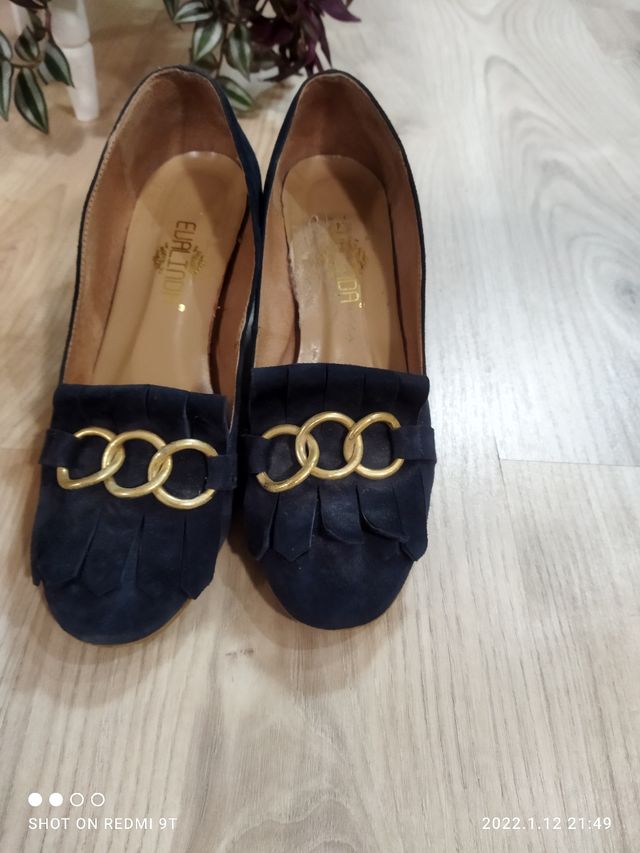 Zapatos azules de terciopelo dada