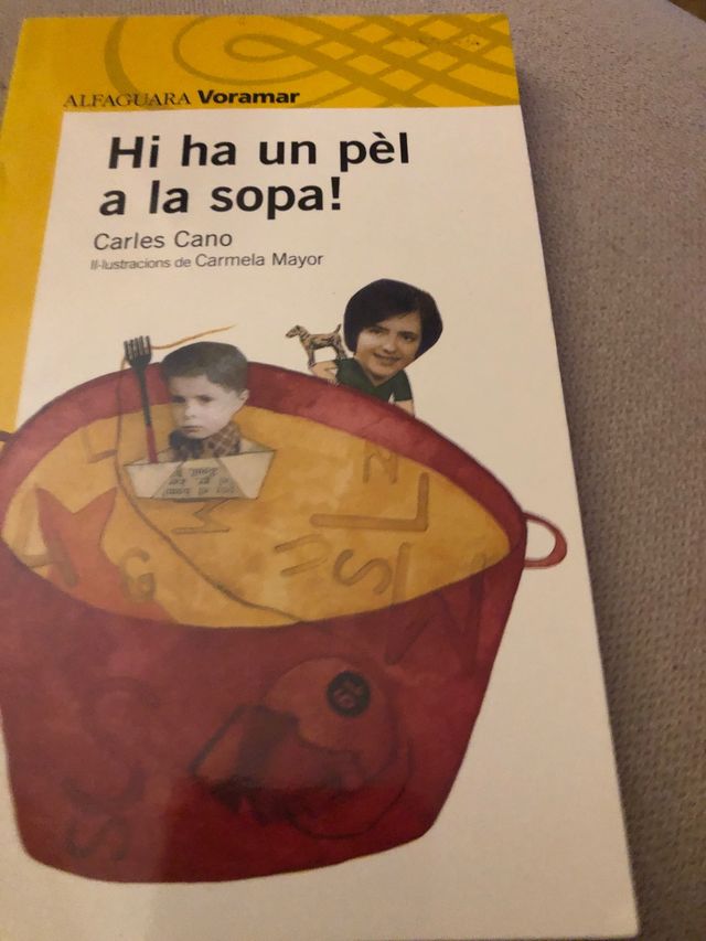 Hi ha un pel a la sopa