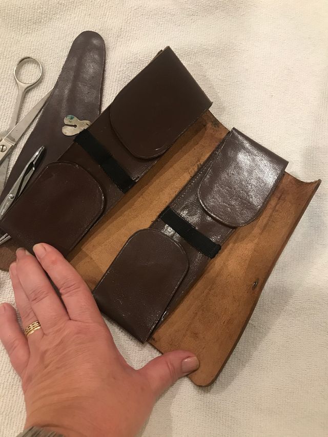 Tijeras para veterinaria,con funda