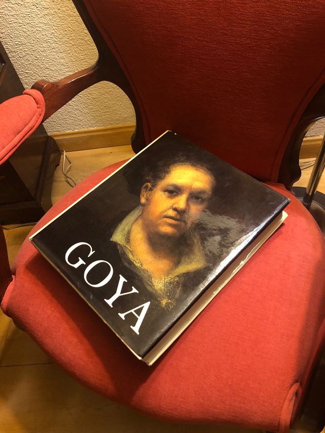 Francisco de Goya. Vida y Obra.