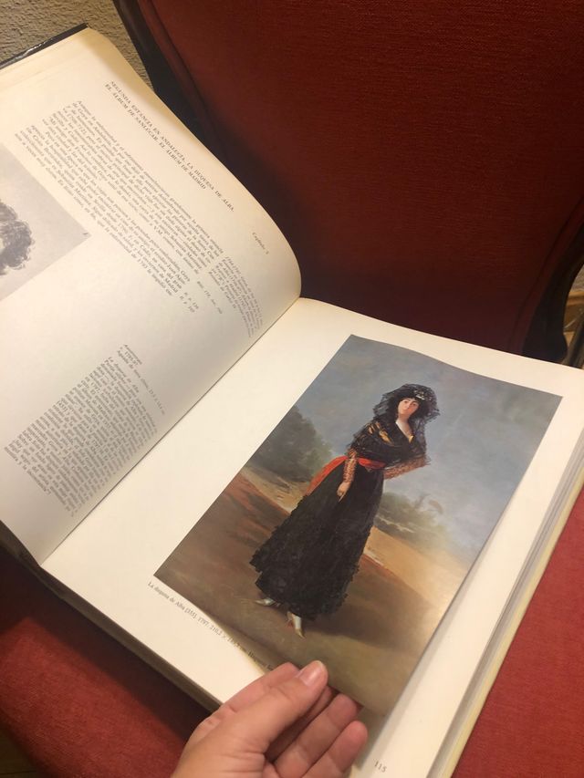 Francisco de Goya. Vida y Obra.