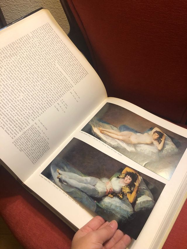 Francisco de Goya. Vida y Obra.