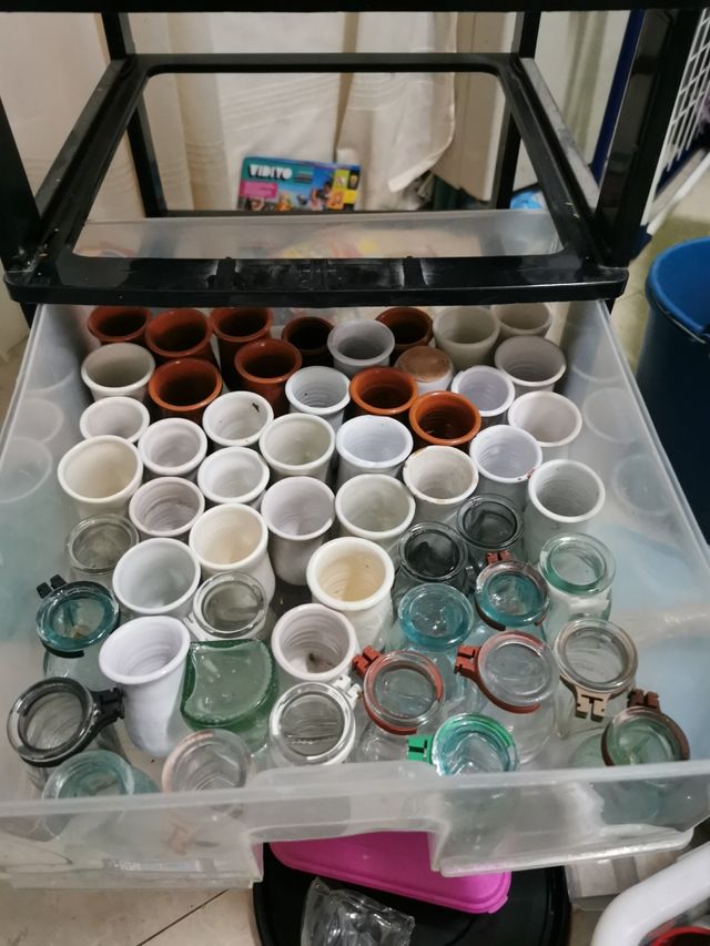 bevitori di gabbie per uccelli