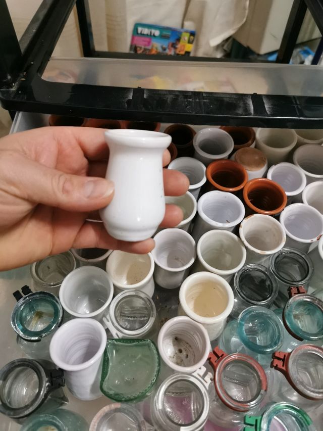 bevitori di gabbie per uccelli