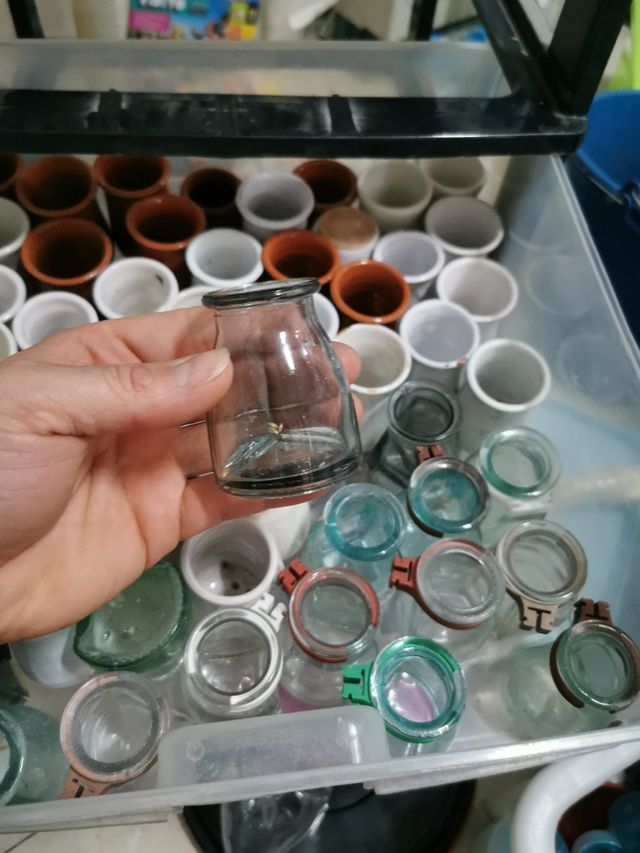 bevitori di gabbie per uccelli