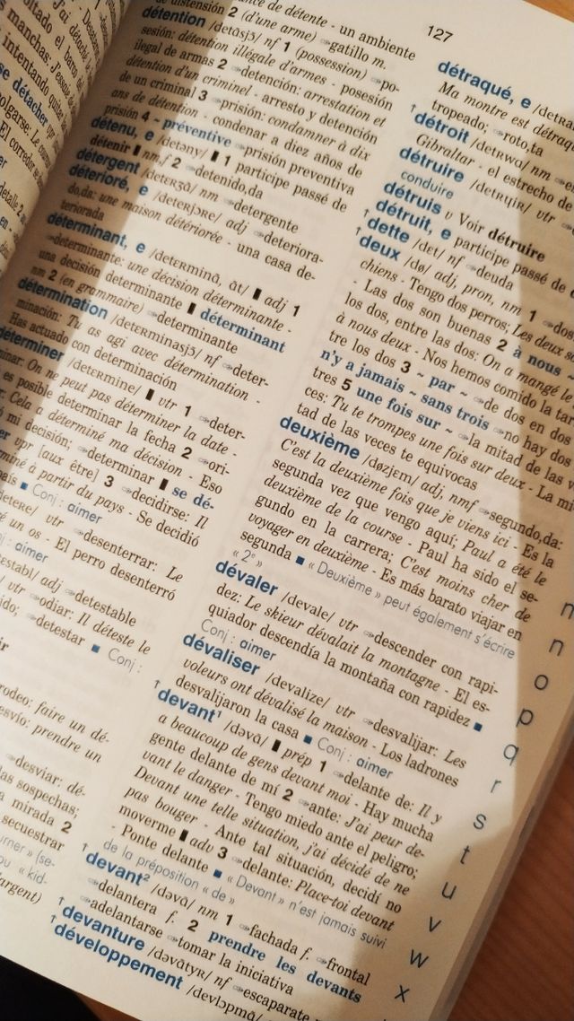 Diccionario de francés