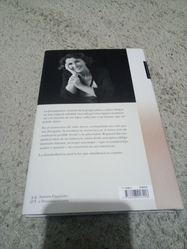 Una mujer y dos gatos