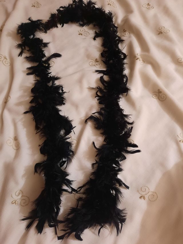 boa de plumas