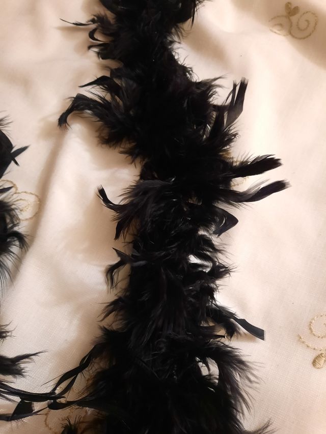 boa de plumas