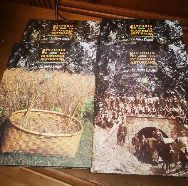la historia de la economía de Asturias