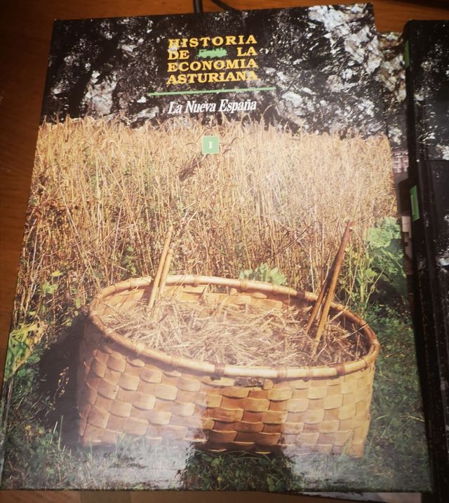 la historia de la economía de Asturias