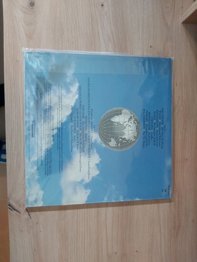 Rock the world Vinyl