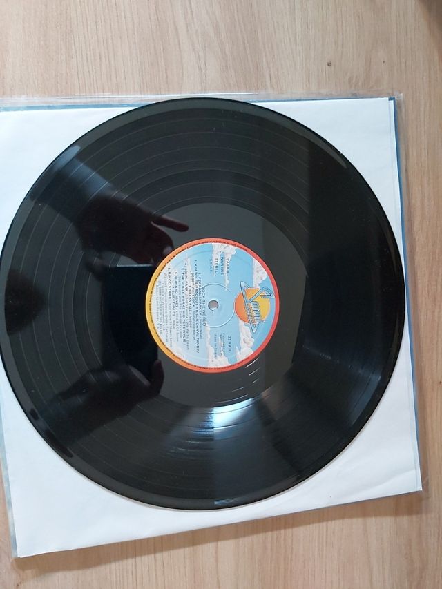 Rock the world Vinyl