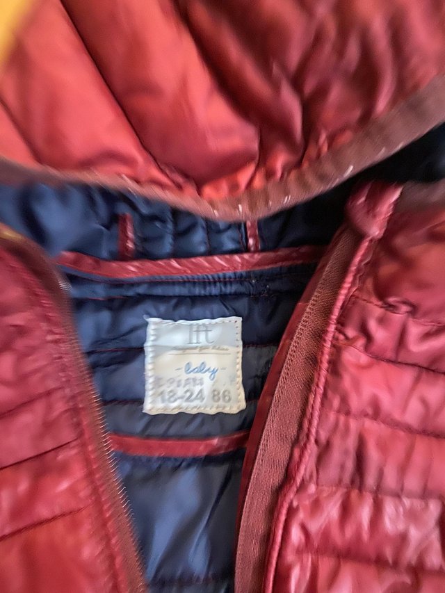 Cazadoras bebé niño