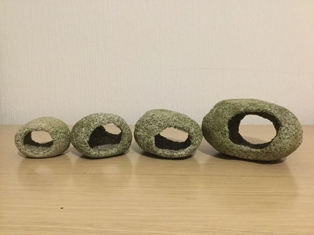 Decorazioni per acquario