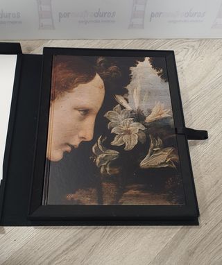 Leonardo 500 - Serie Florencia - SKEL ART