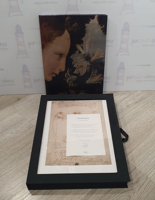 Leonardo 500 - Serie Florencia - SKEL ART