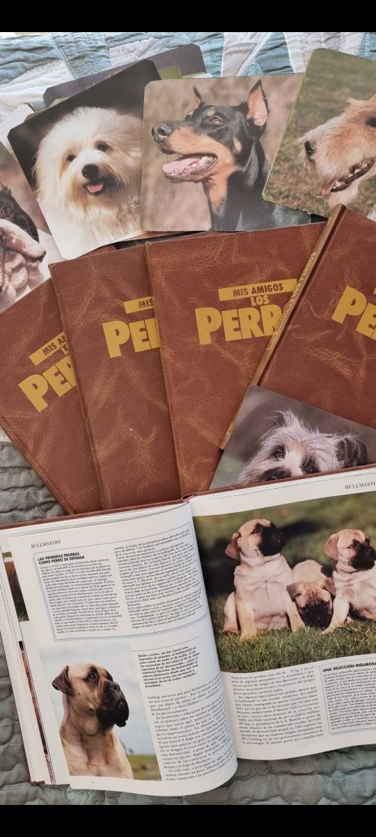 Mis amigos los perros 5 tomos . Planeta Agostini.