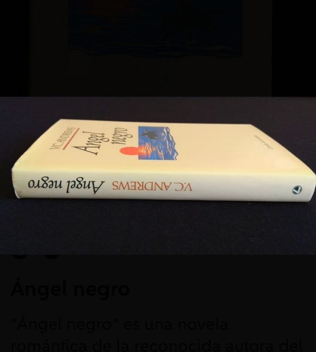 Ángel negro