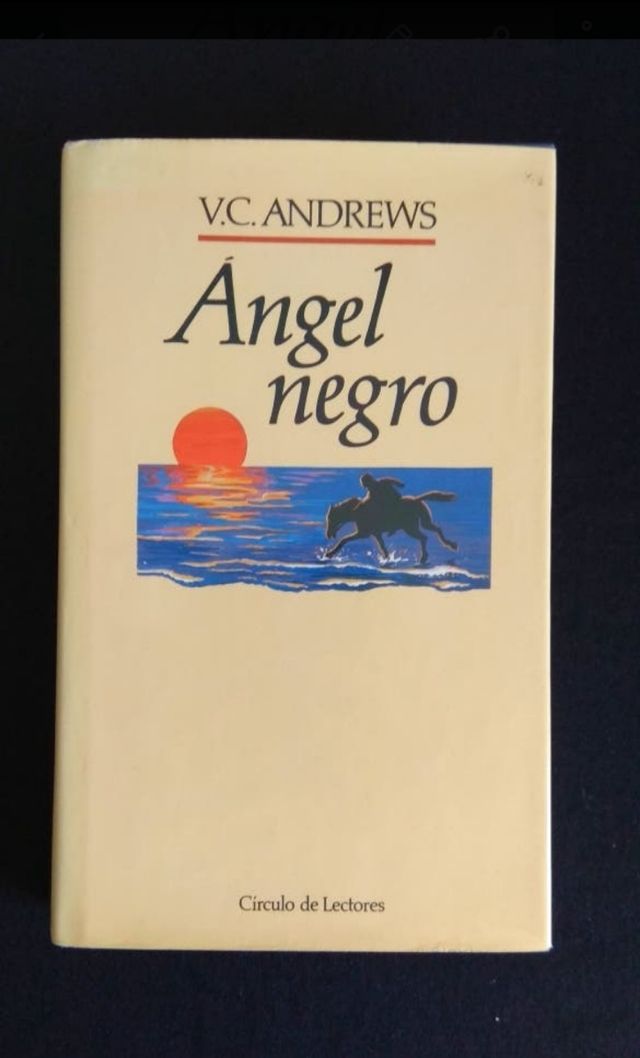 Ángel negro