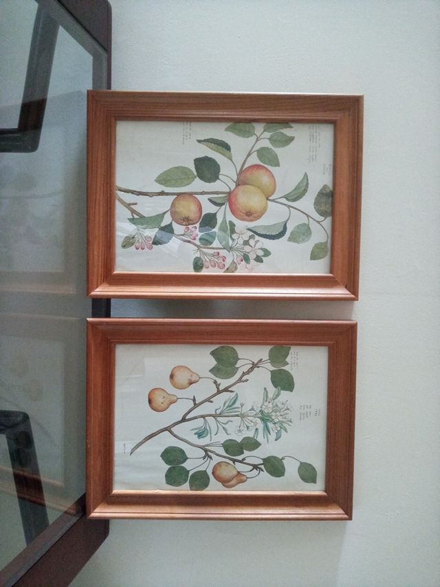 Dos elegantes cuadros madera y laminas.