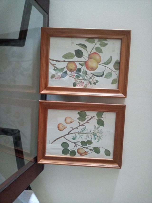 Dos elegantes cuadros madera y laminas.