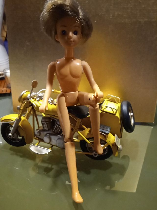 chabel pelirroja y otro articulado