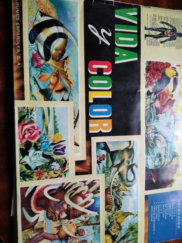 Álbum de cromos Vida y color (1965)