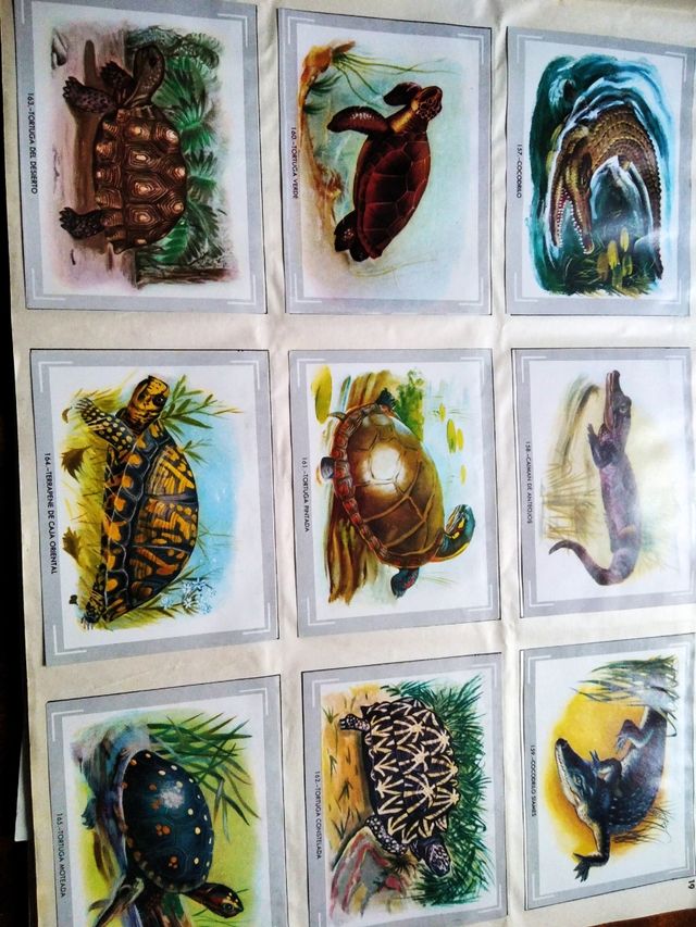 Álbum de cromos Vida y color (1965)