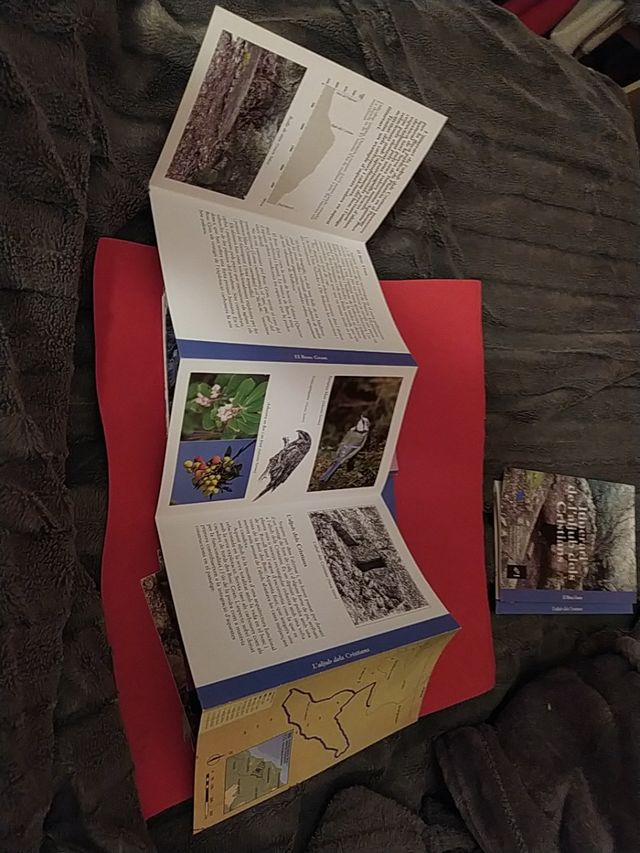 colección folletos geografia de Mallorca