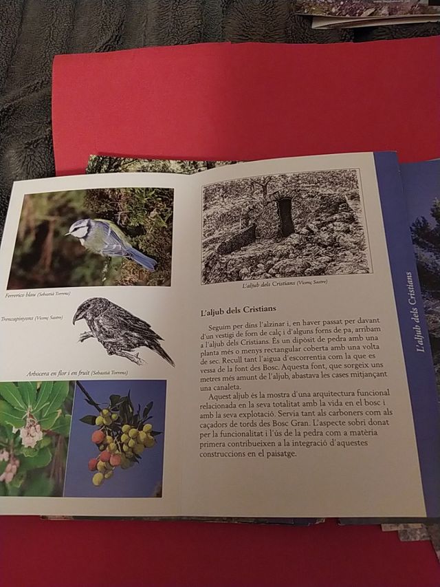 colección folletos geografia de Mallorca