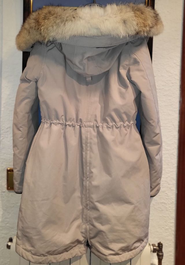 Canadá se precio fue 1,800€ en leiko