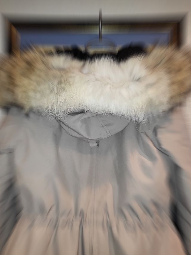 Canadá se precio fue 1,800€ en leiko