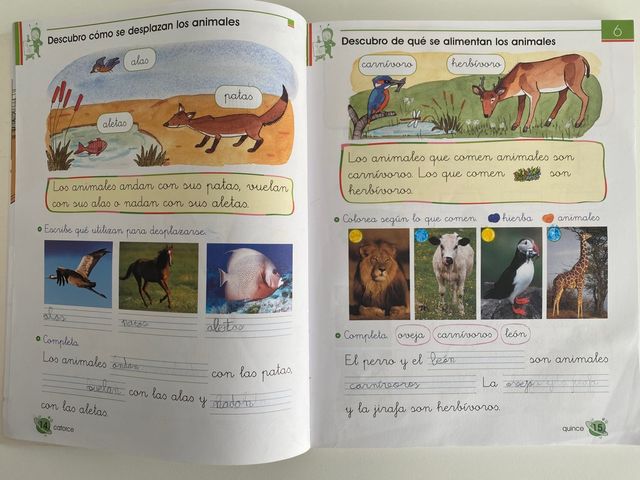 Libro Primaria Trampolín Segundo Trimestre SM
