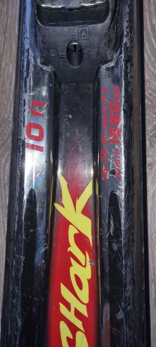 Skis Volkl TigerShark 168