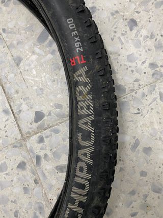 CUBIERTA BONTRAGER CHUPACABRA 29 3.0 de 