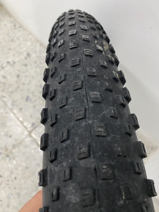 CUBIERTA BONTRAGER CHUPACABRA 29 3.0 de 
