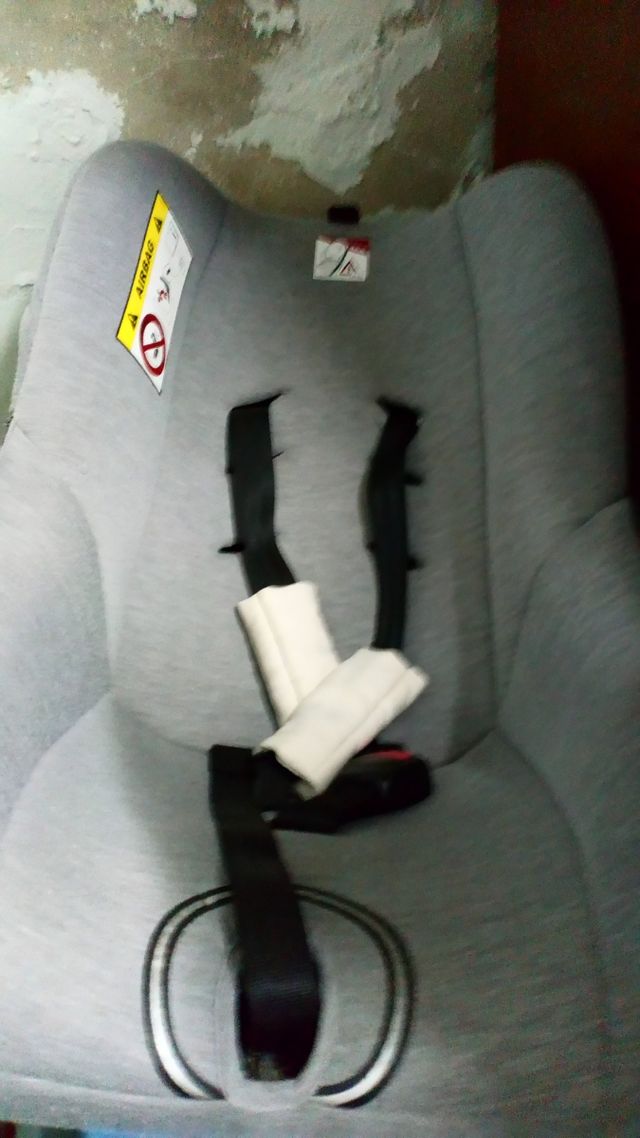 Se  regala  maxsicosi