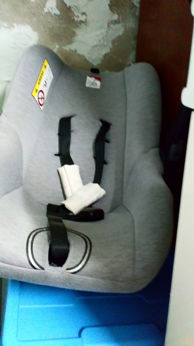 Se  regala  maxsicosi