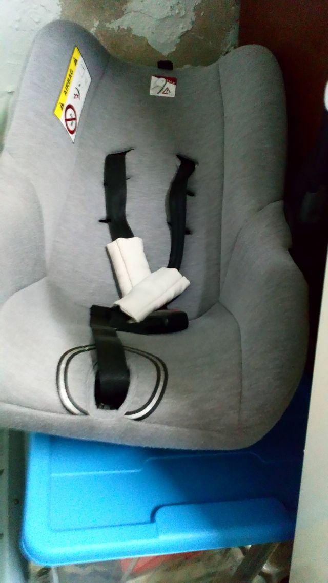 Se  regala  maxsicosi