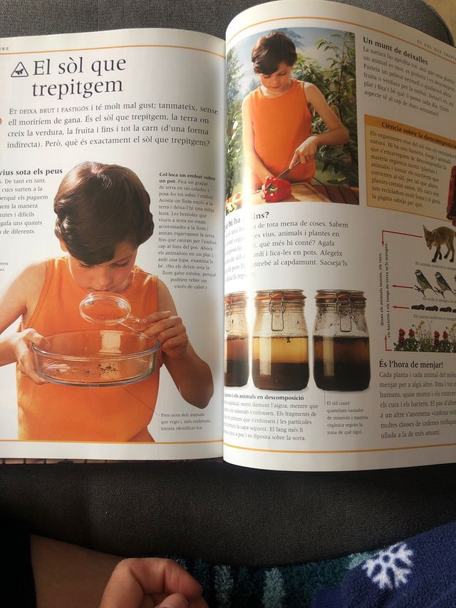 Ciència a l'aire lliure