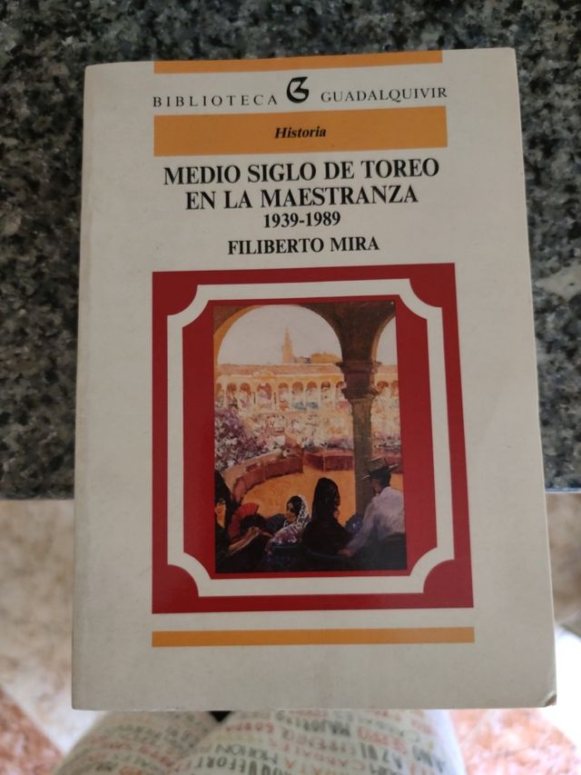 Historia de la Maeztranza