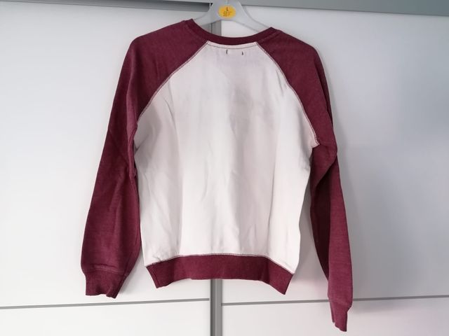 Lote sudaderas/camisetas