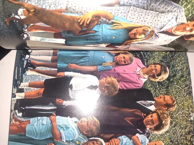 LA FAMILIA REAL ESPAÑOLA