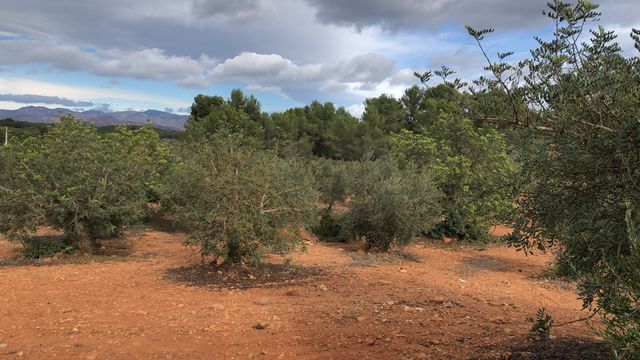 Terreno de aprox 38.000 m 2 con casa  agua y luz