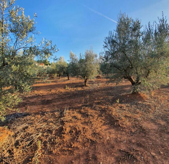 Terreno de aprox 38.000 m 2 con casa  agua y luz